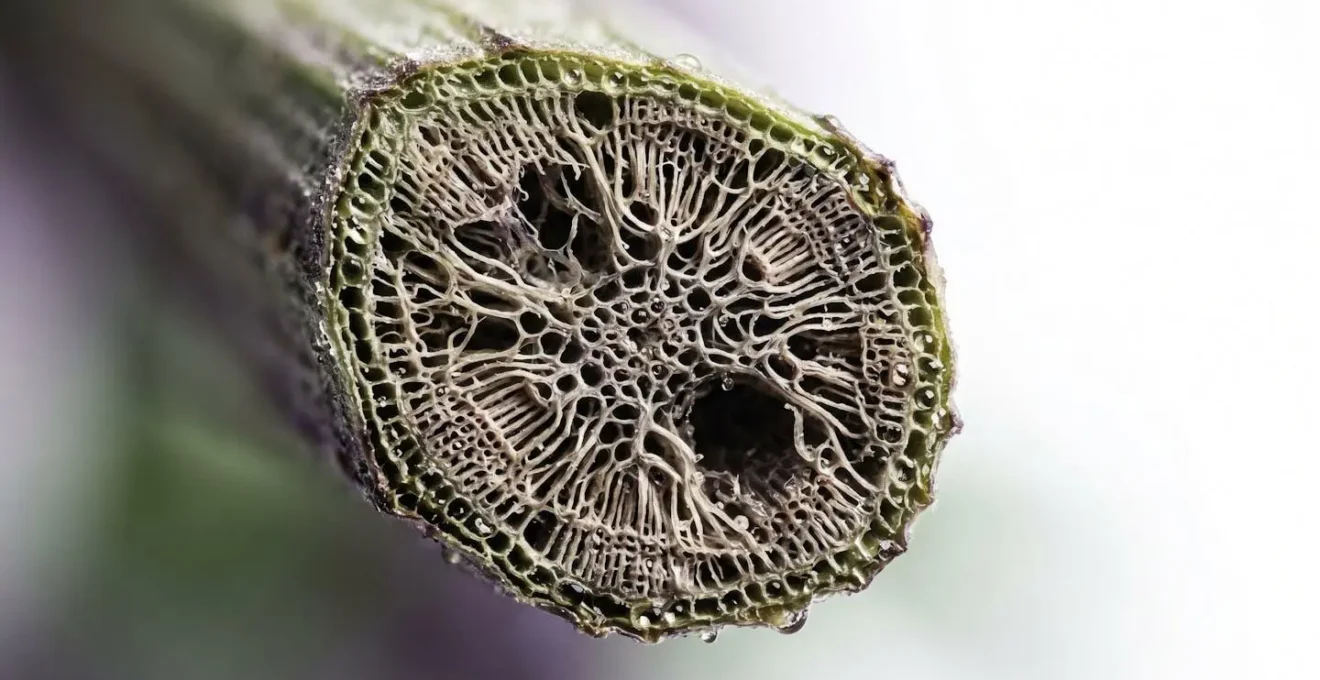 Close-up visualization of neural pathway concept through organic botanical elements